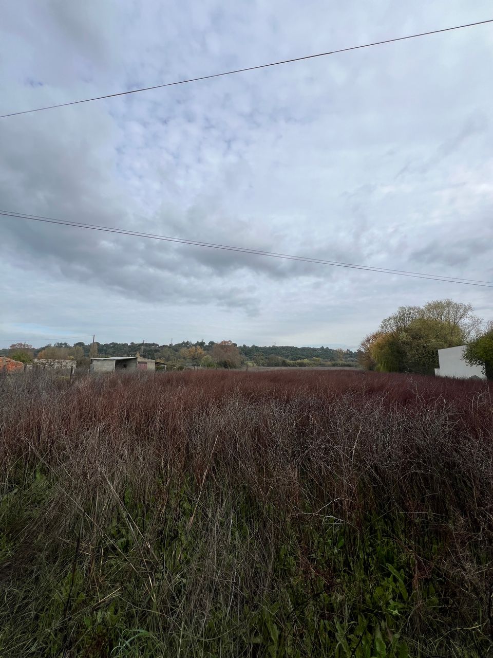 Plot of land near the city, overlooking the river Nabão!!! 4 / 5
