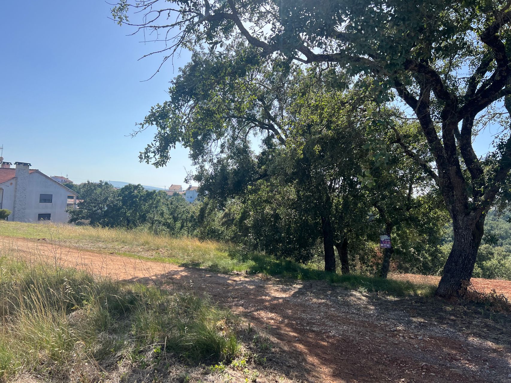 Plot of land near the town, suitable for building! 5 / 5