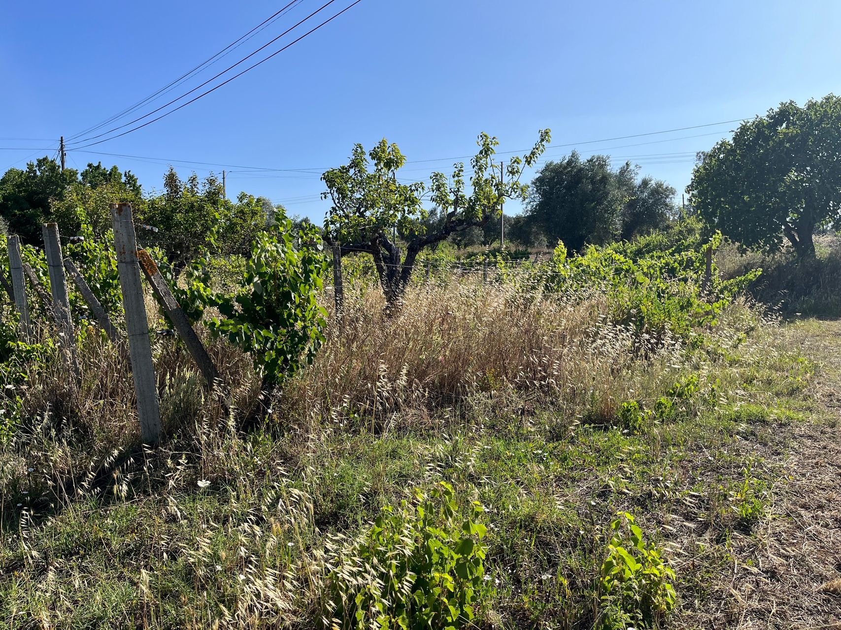 Land – agroforestry 2 / 5