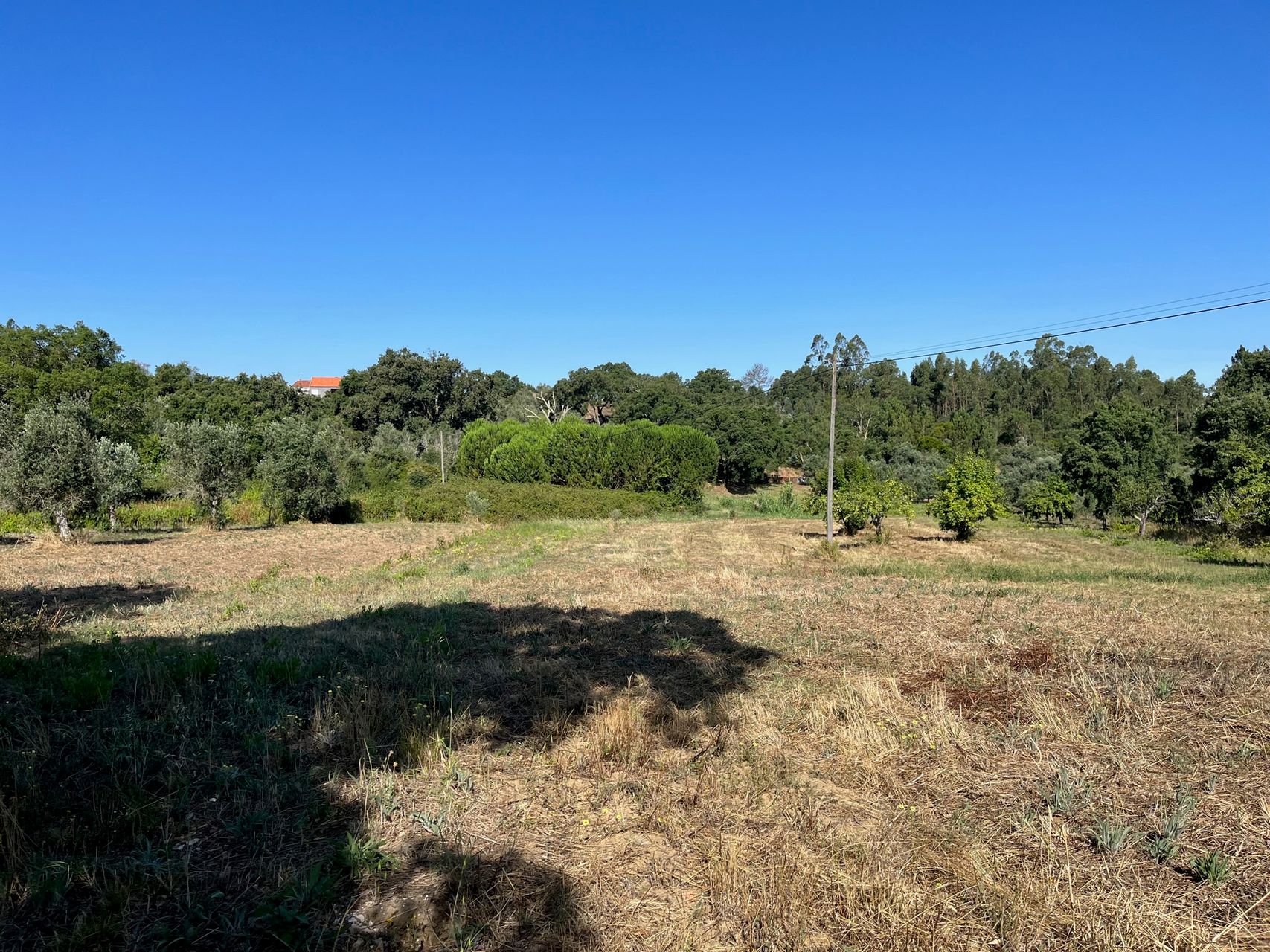 Land – agroforestry 3 / 5