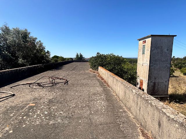 Quinta a 8km de Tomar 2
