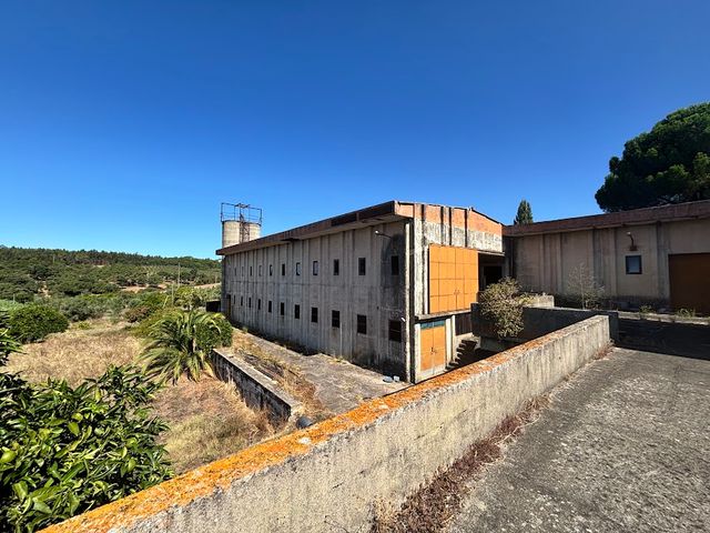 Quinta a 8km de Tomar 3