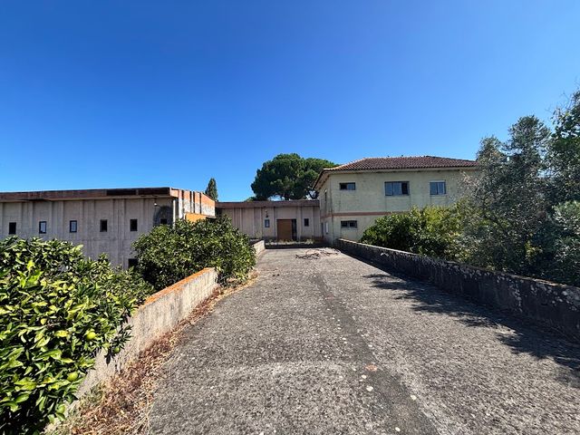 Quinta a 8km de Tomar 4