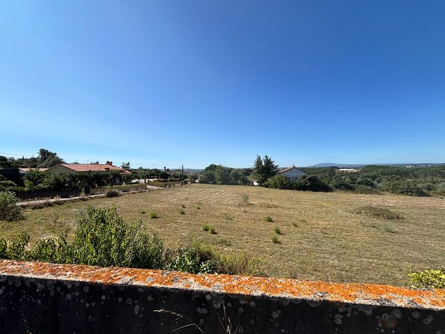 Quinta a 8km de Tomar 5