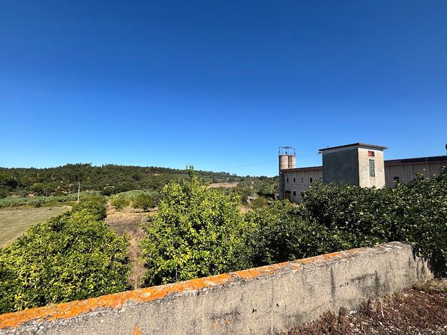 Quinta a 8km de Tomar