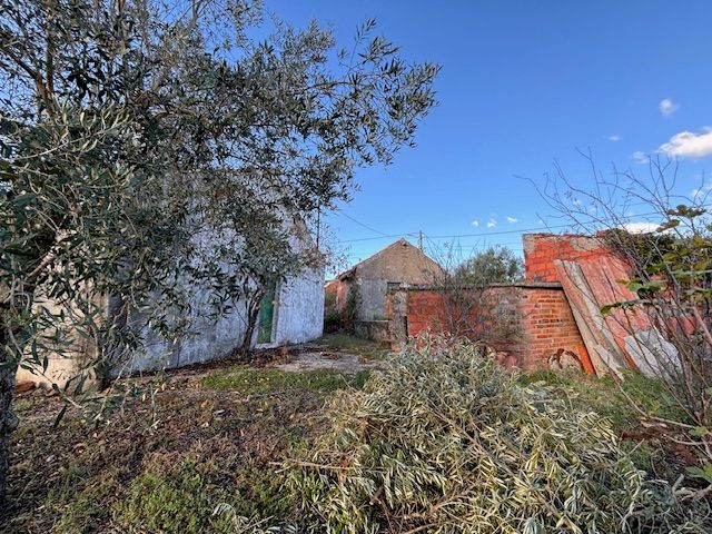 Casa em ruínas c/terreno 2