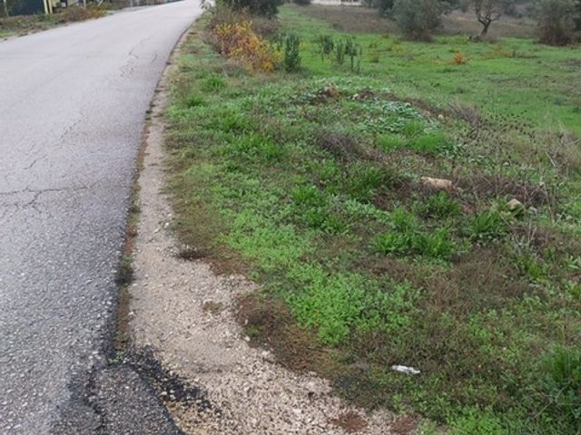 Building plot, 5 minutes from Castelo Bode Dam 2 / 5