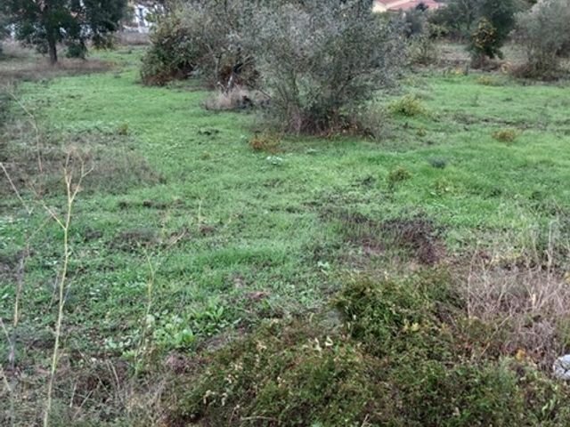Building plot, 5 minutes from Castelo Bode Dam 5 / 5